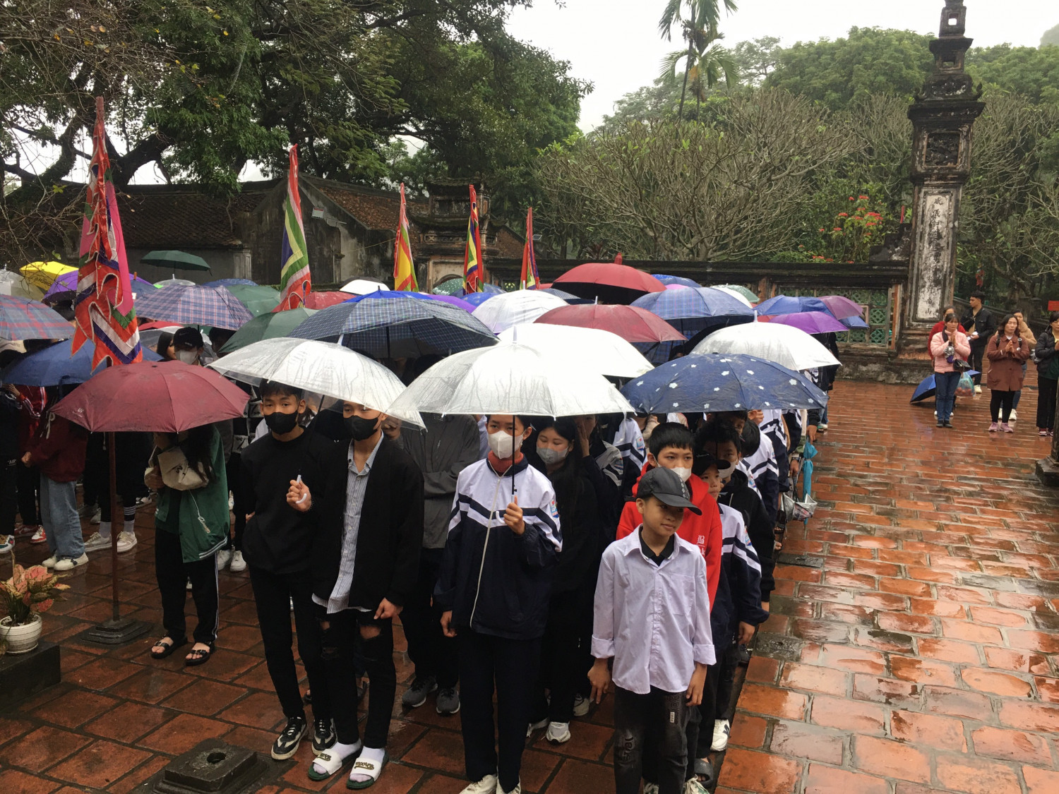 hoa lư 2