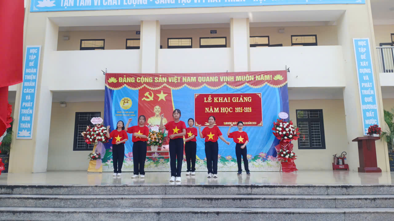 VN 1
